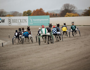 Pembrook Playboy back from untimely injury