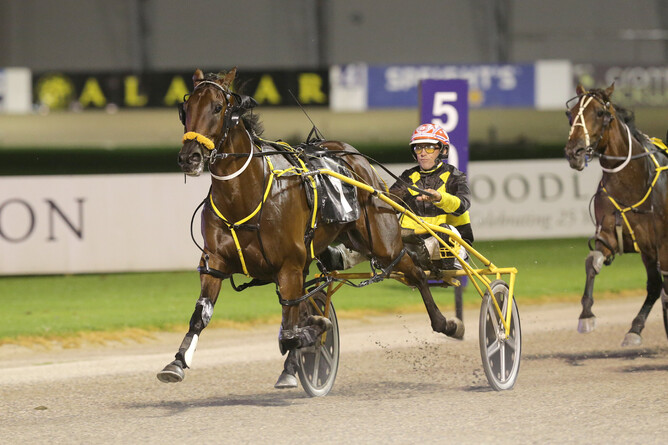 $1million Race by Grins contender Nicholas Cage. - Photo: Trish Dunell