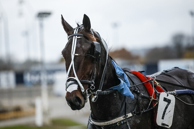 The final runner for The Race By Grins, South Coast Arden