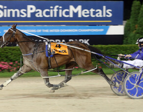 Self Assured will need huge effort after draw for $900,000 race