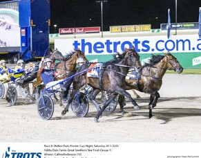 French-bred Trotter Cambridge bound