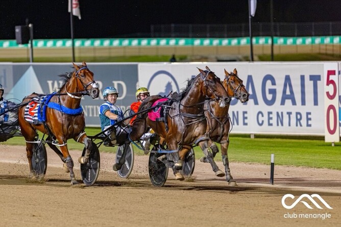 Bondi Lockdown winning at Menangle last night.  - Photo: Hamilton Content Creators