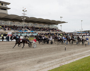 Trainer-driver Brett Mangos - South Coast Arden ripe for picking in $900,000 The Race