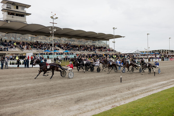 South Coast Arden winning at Cambridge Raceway on IRT Harness Jewels Day - Photo: Christine Cornege
