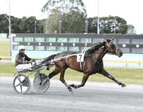 Bolt For Brilliance out of TAB Trot