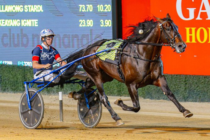 Callmethebreeze is ticking all the boxes ahead of Friday's TAB Trot. - PHOTO: Pacepix/Club Menangle