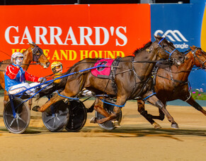 Rock N Roll Doo steps out at Cambridge