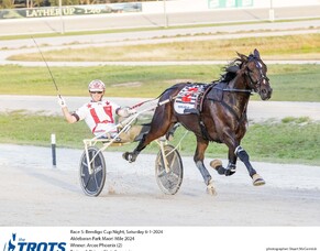 Arcee Phoenix fourth Aussie confirmed for TAB Trot