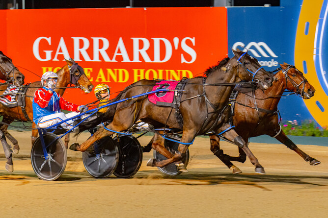 Rock N Roll Doo has a suspected hoof abscess which may rule him out of The Race By Grins - Photo: Pacepix/Club Menangle