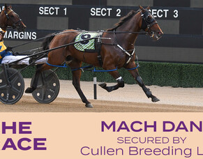 Aussie presence grows for The Race