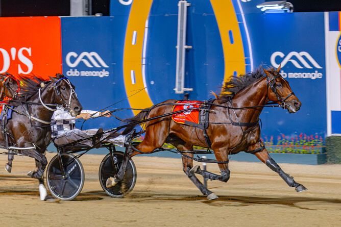 Leap To Fame will not be coming to The Race by Grins - PHOTO: Pacepix/Club Menangle