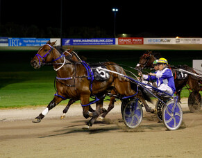 Kango confirmed for The Race by Grins - &quot;incredibly exciting&quot;