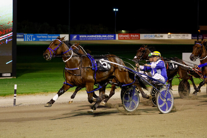 Kango and David Butcher in action at Alexandra Park last Friday.   - Photo: Angelique Bridson