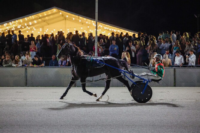 Better Eclipse before the running of last year's The Race By Grins - Photo: Angelique Bridson