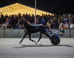 Australian invasion set for million dollar slot race