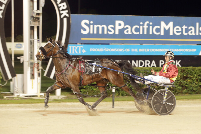 Old Town Road and driver Zachary Butcher winning at Alexandra Park.  - Photo: Trish Dunell