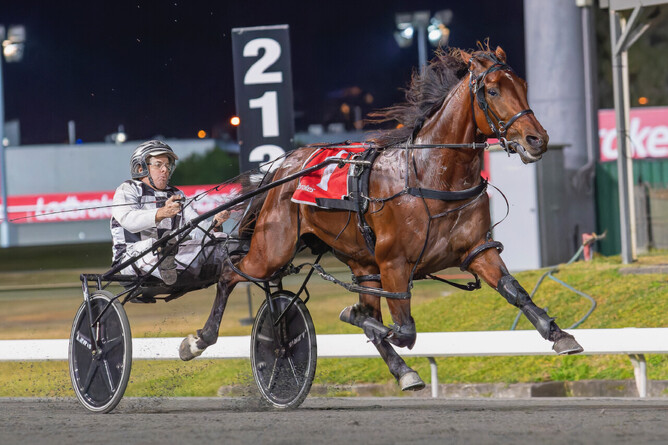 Champion Aussie pacer Leap To Fame is on the road to Cambridge - Dan Costello