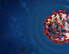 COVID-19 Government Support