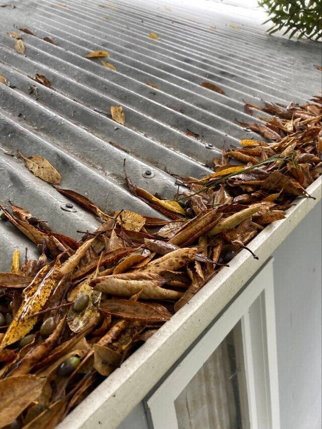 Home Whanganui House Washing