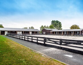 World Class Diagnostics Coming To Waikato Equine Veterinary Centre