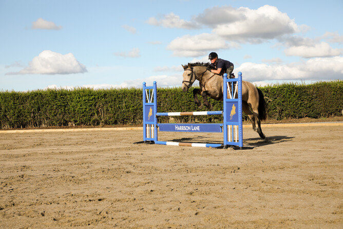 Ebb and Flow Arena by Harrison Lane