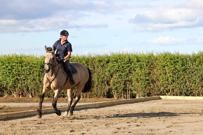 Ebb and Flow Arena NZ