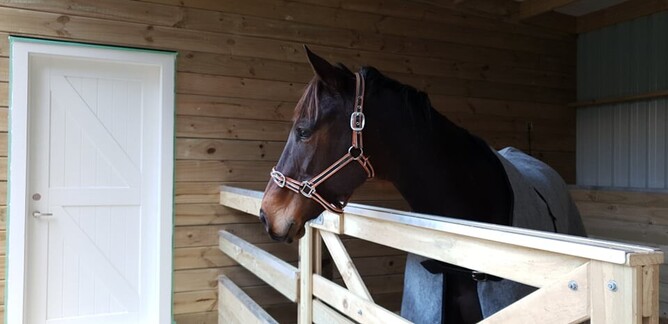 Covered horse yards