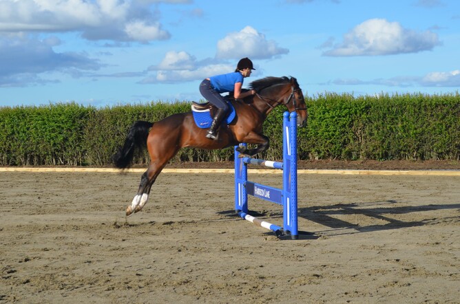 Ebb & Flow Arena Harrison Lane