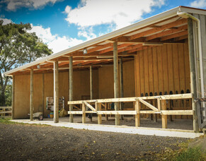 Some of our favourite milestones from 2012 to 2022