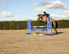 Our Arena construction methods and surface options