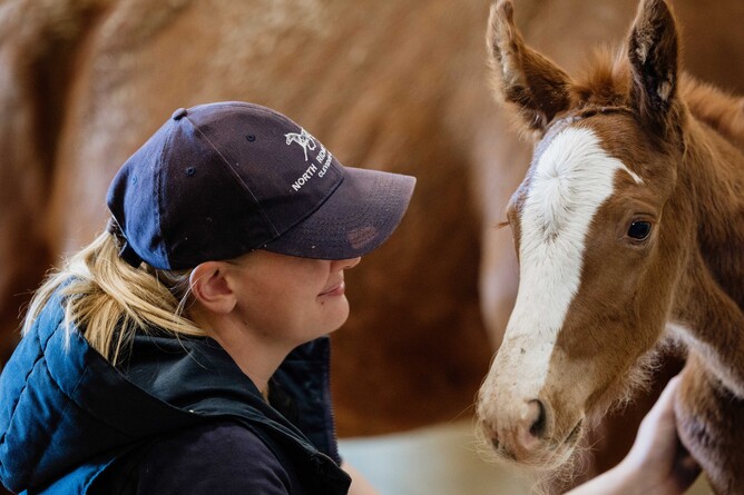 Kate Stokes of North Ridge Stud with new arrival NRS D’amalfi
