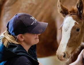 Project Feature: Stables At North Ridge Stud