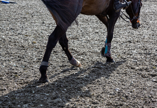 Arena surfaces NZ Harrison Lane