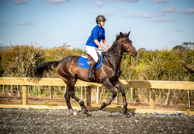 Equestrian Arena by Harrison Lane