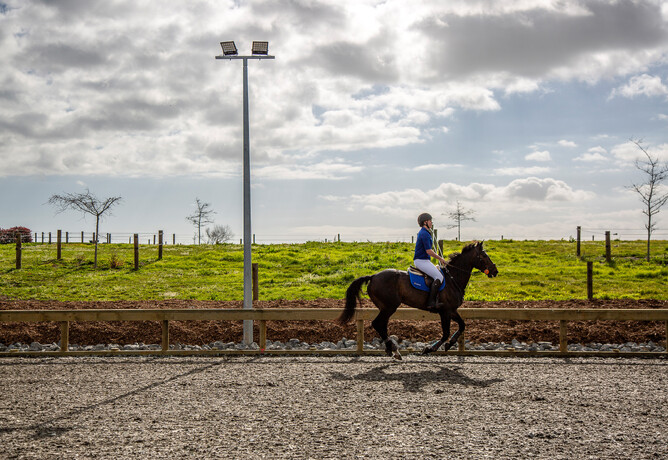 Sand & Fibre Arena by Harrison Lane