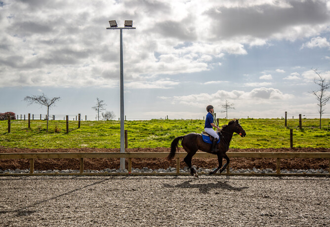Sand & Fibre Arena by Harrison Lane