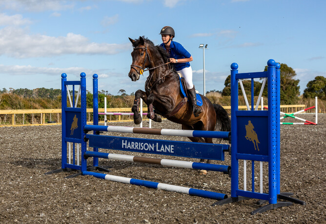 Harrison Lane Arena Construction NZ