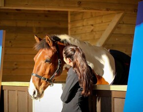 Equitana Auckland - Partnership Announcement