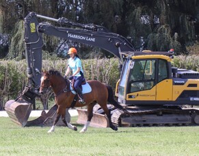 Exciting start to the week at Abderry Equine