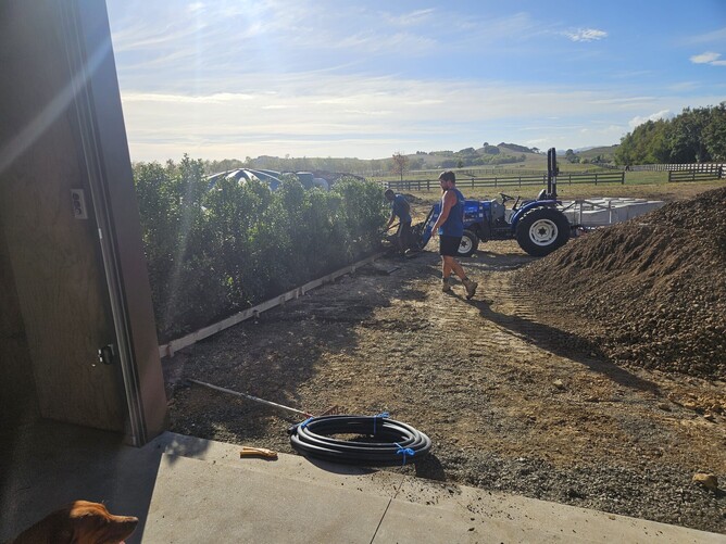 Preparing for concrete and planting