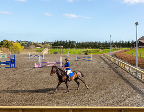 Exciting Developments At Harrison Lane For EQUITANA Auckland 2019