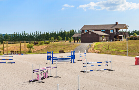 Horse Arena by Harrison Lane