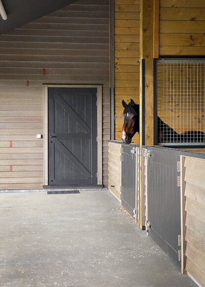 Close up of horse resting in the stable