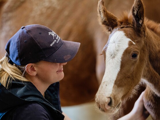 Kate from North Ridge Stud with NRS D'Amalfi 