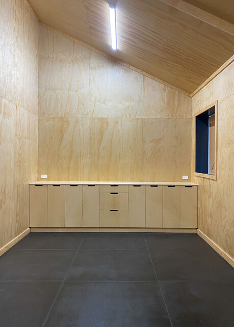 storage room with built in ply cabinetry