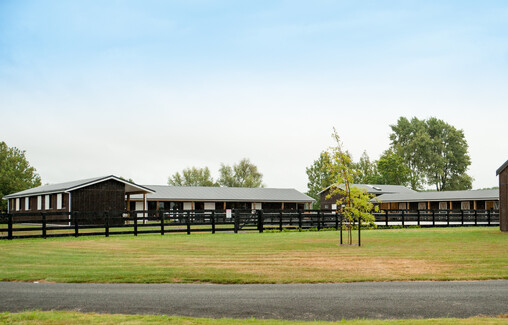 Waikato Veterinary Centre