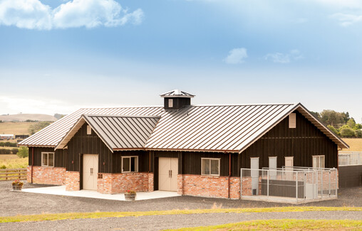 Pakuranga Hunt Kennels - Harrison Lane