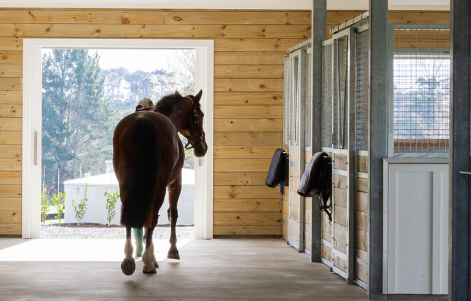 Build stables NZ with Harrison Lane
