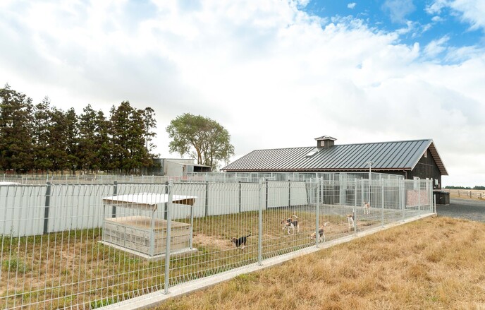 Pakuranga Hunt Kennels
