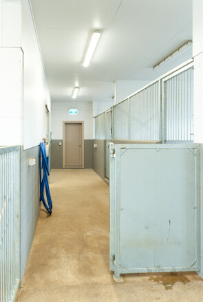 Pakuranga Hunt Kennels